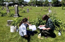 students sitting in a cemetery with open notebooks