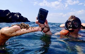 students snorkeling