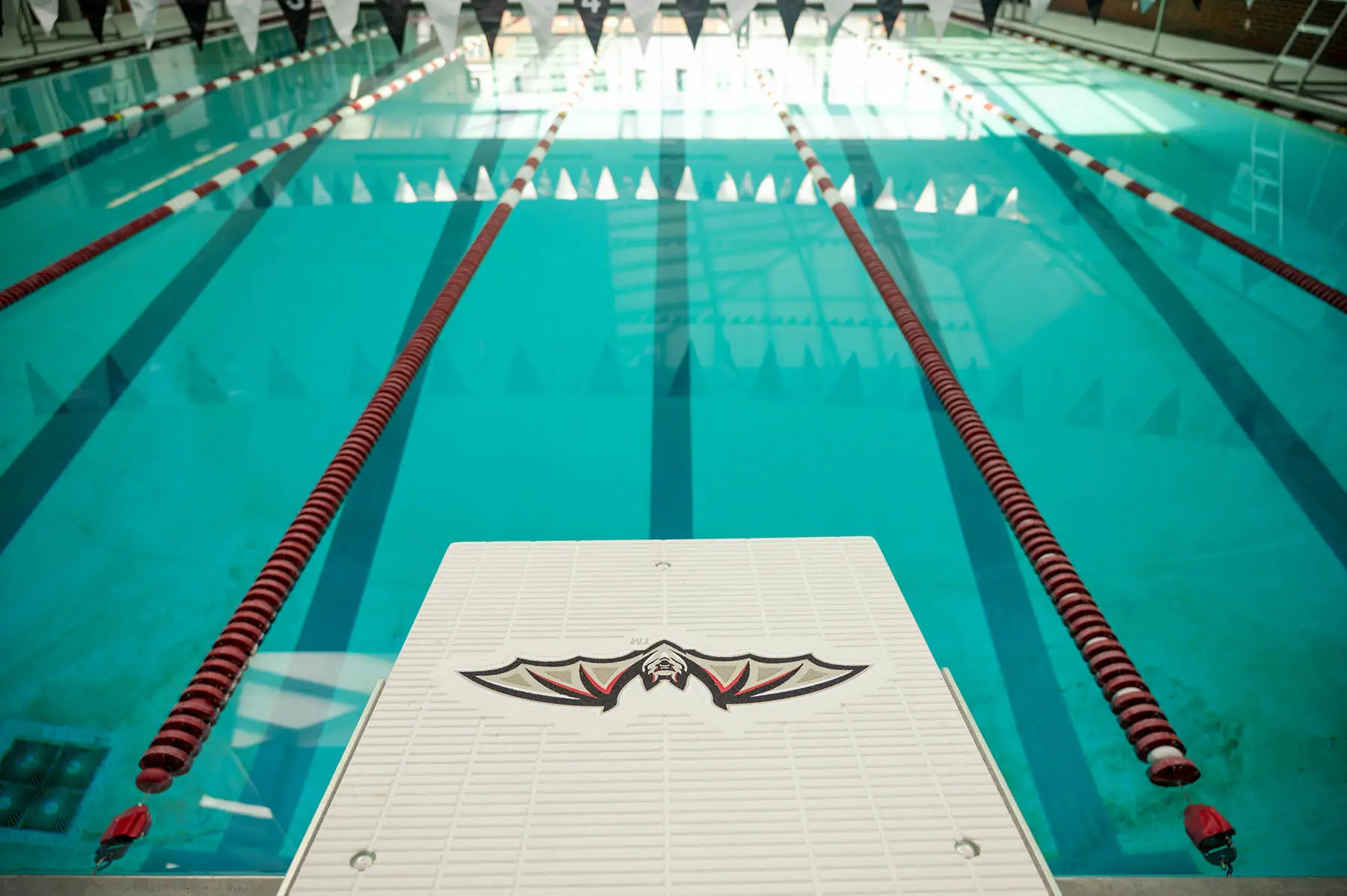 Transylvania to host summer programs for intermediate, advanced swimmers