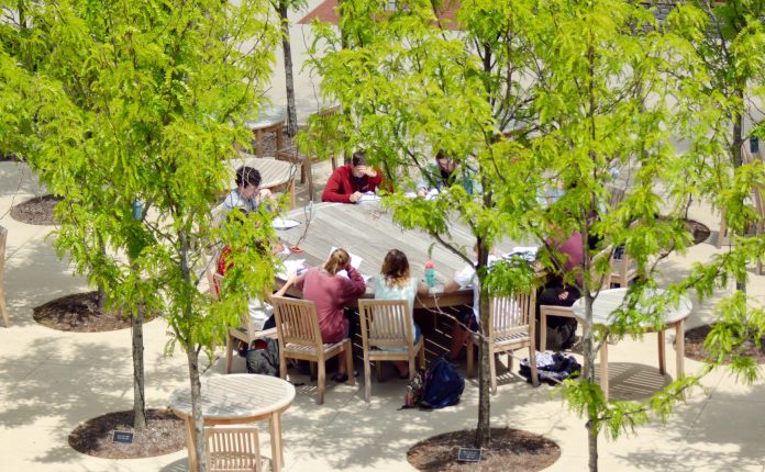 outdoor class in alumni plaza