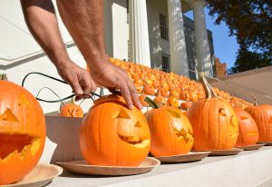 pumpkins being wired with lights