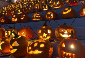 close up of lit pumpkins on old morrison steps