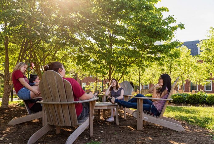 students relax in wooden chairs. the sun is low