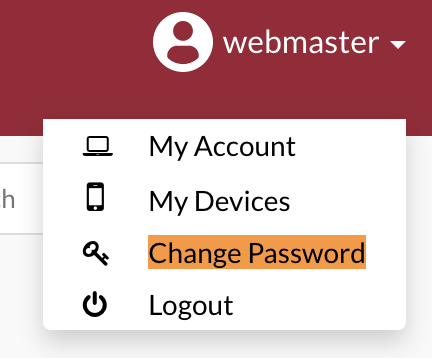 graphic showing location of Reset Password option in the user settings dropdown menu