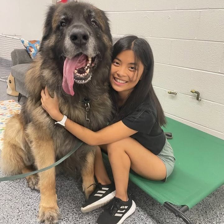 A smiling student hugs a very large, fluffy dog in the lab