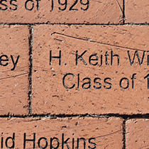 Example of bricks