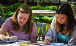 Students studying