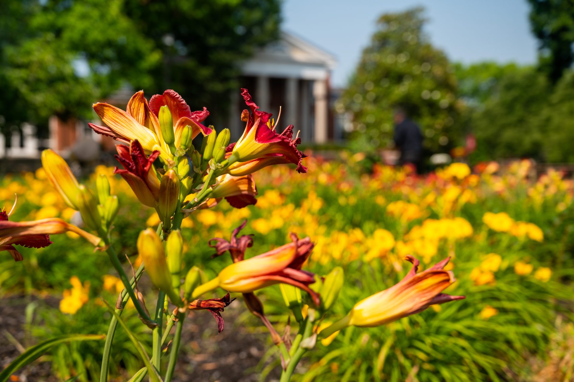 Alumni Notes — Summer 2023