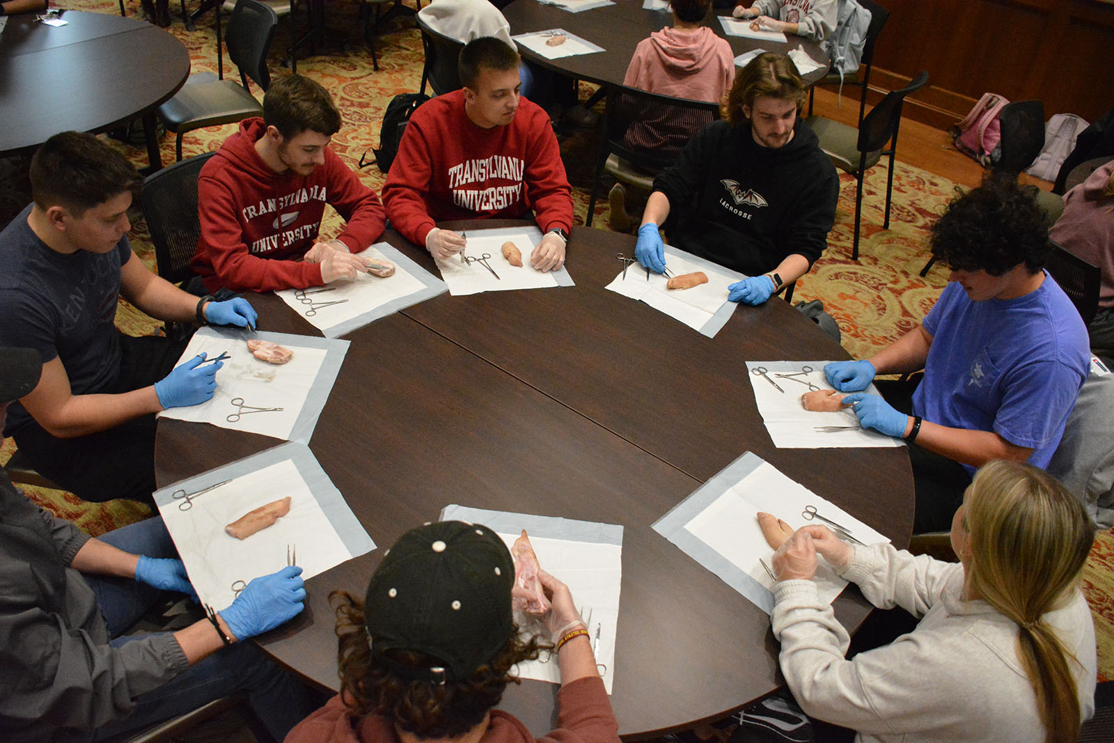 Students participate in a suture clinic as part of Transy's pre-health program.
