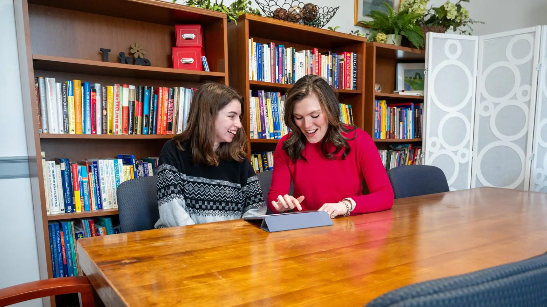 CAPE mentorship program opens doors for Transylvania students